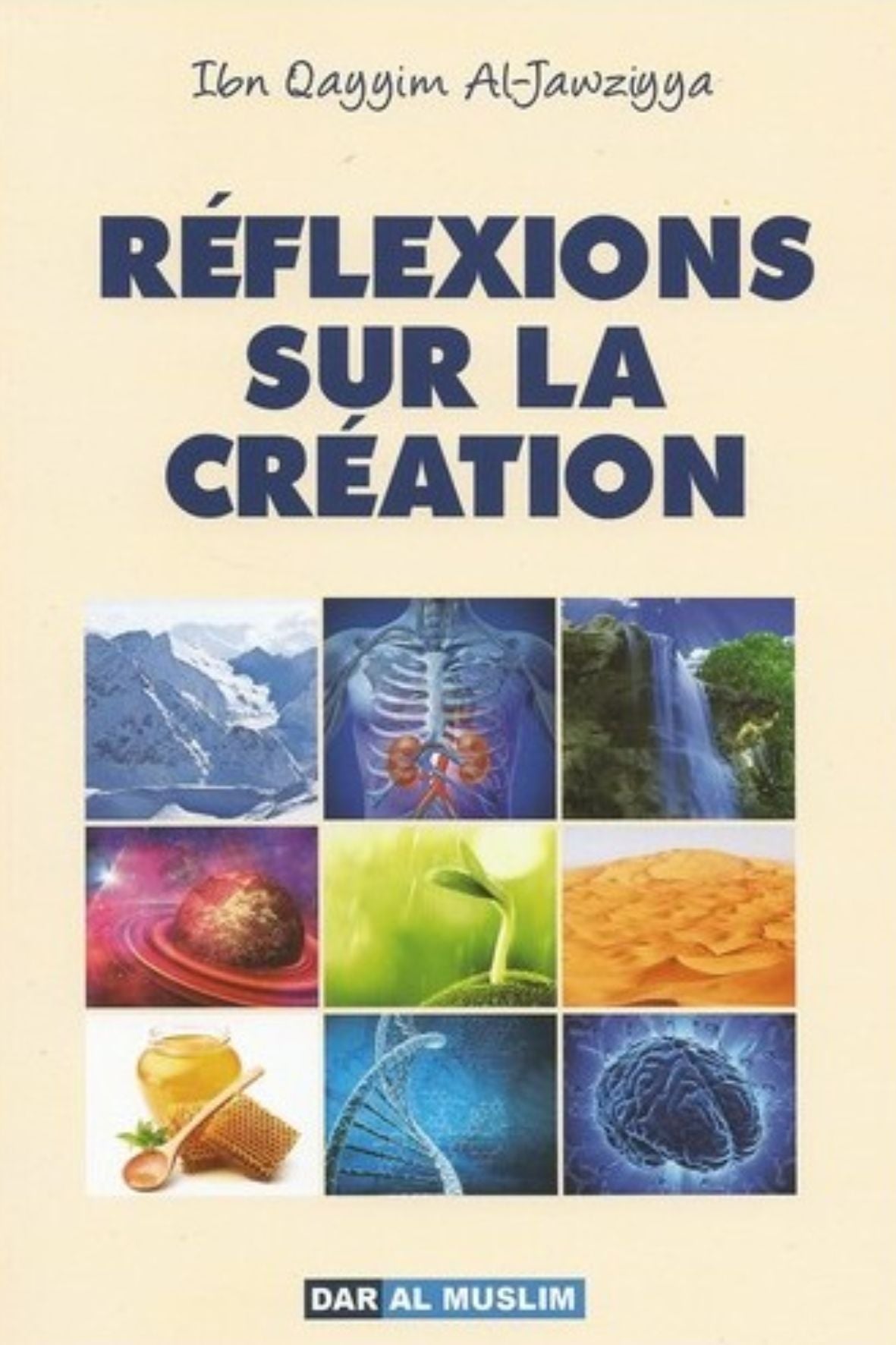 Réflexions sur la création