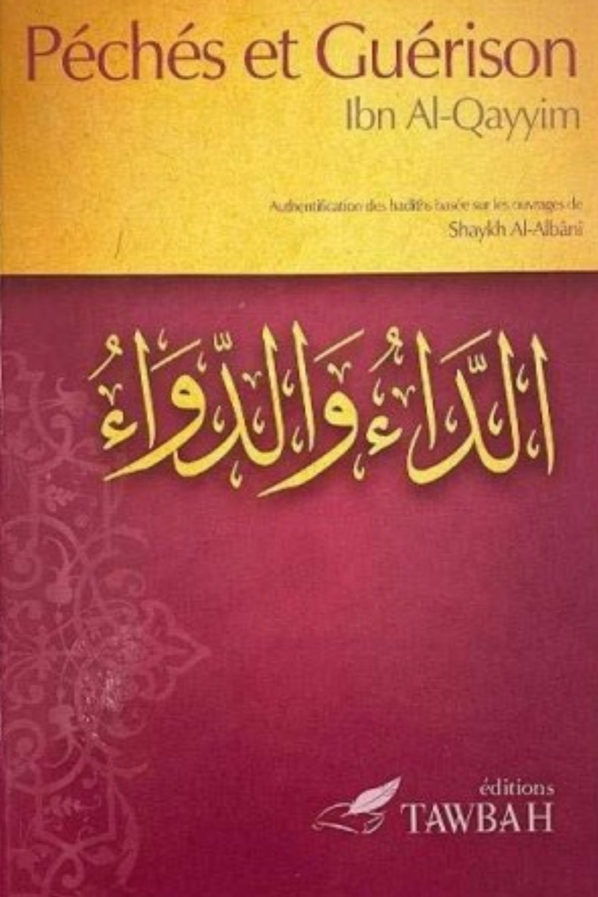 Couverture du livre Péchés et guérison d'ibl al qayyim