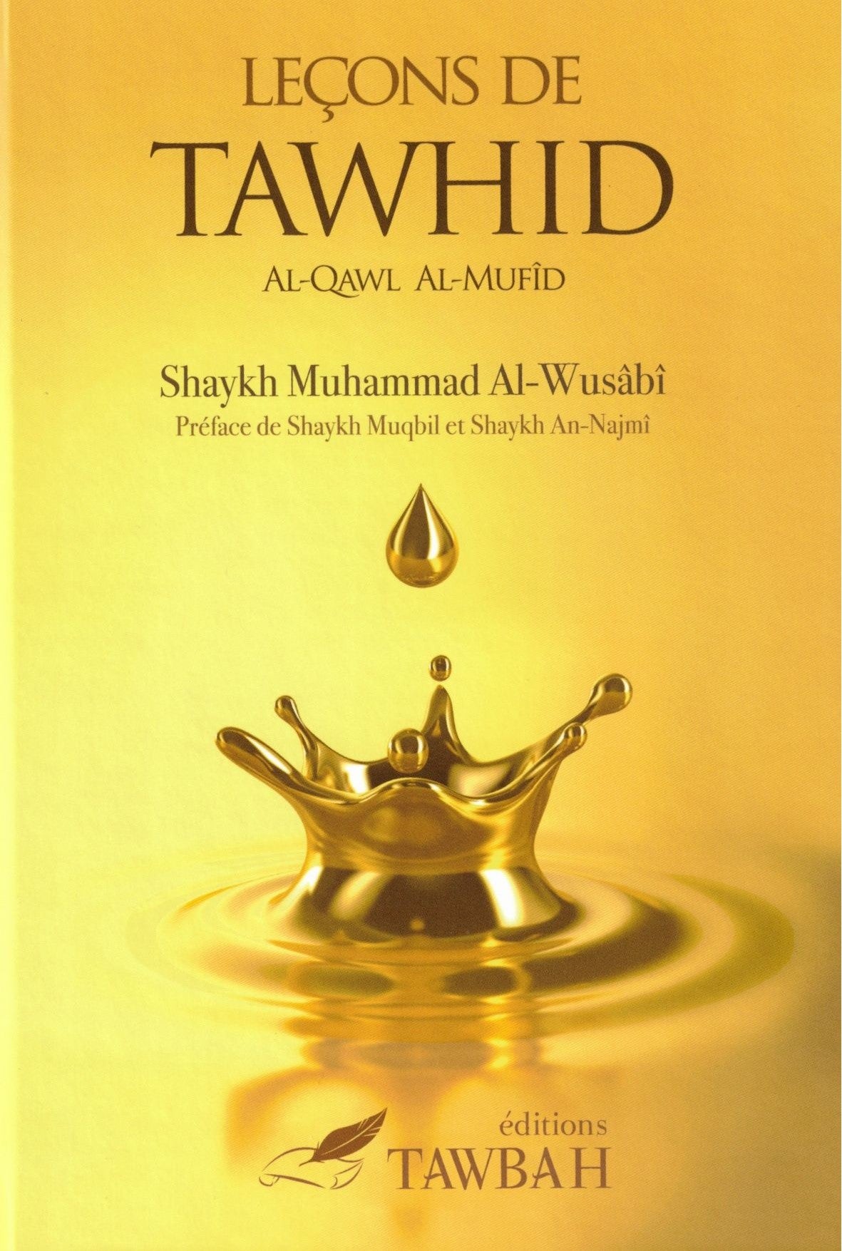 Couverture du livre 'Leçons de Tawhid' sur l'unicité d'Allah dans la croyance islamique