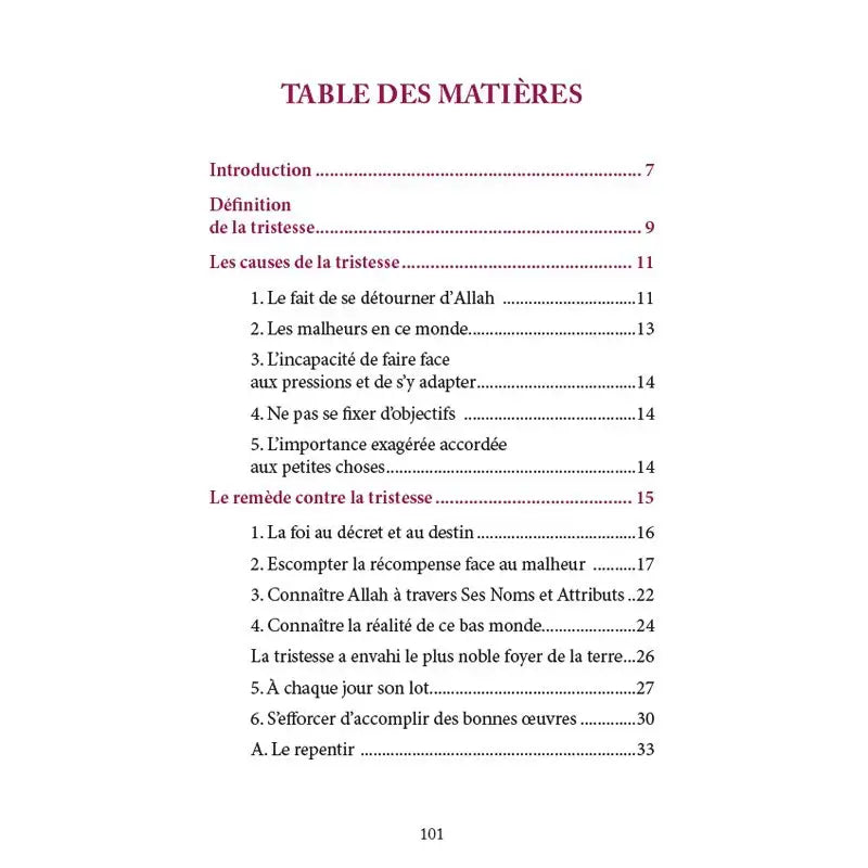 Table des matières d'un livre islamique sur la tristesse, avec introduction, causes et remèdes, en français.